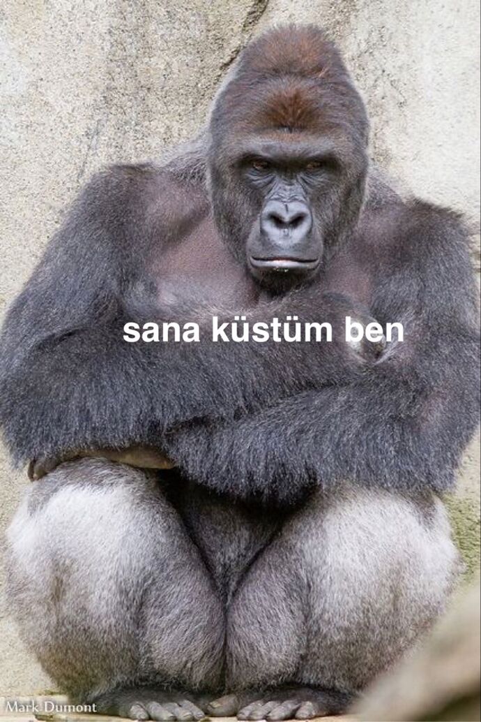 Kadınlar hızlı gelişen ilişkiden neden korkar?