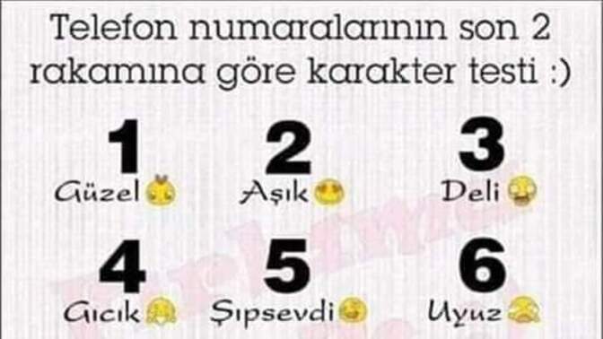 Telefon numaranızın son 2 hanesi kaç?