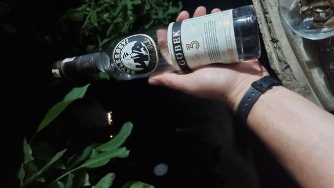 Sarhoş mu oldun mu?
