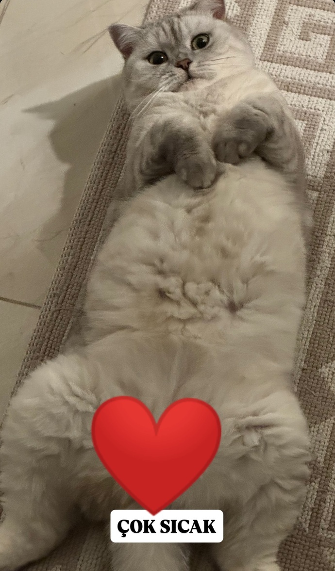 Namahrem yerlerine bakmayınız :dd