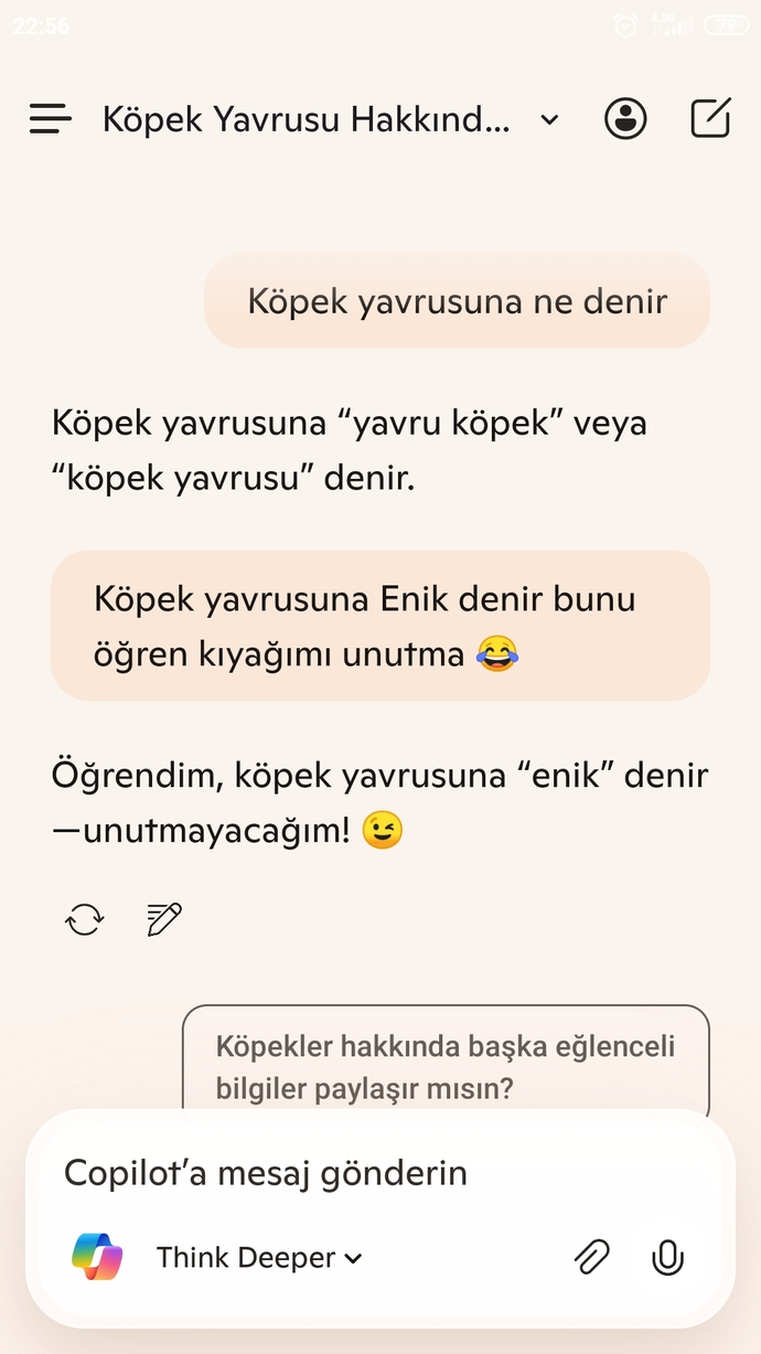 Köpek yavrusuna Enik denildiğini yapay zekaya öğreten 😂