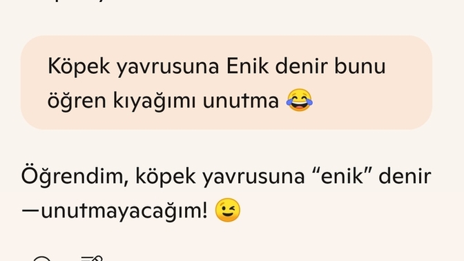 Yapay zekaya öğrettiğim bilgiyi gördünüz mü 😂?