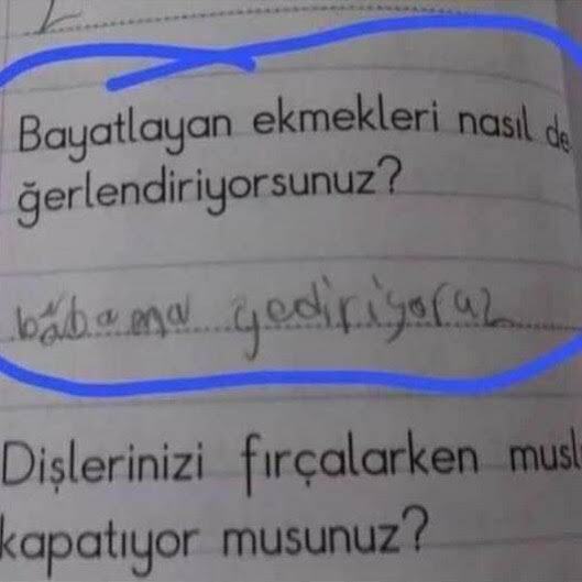Bayat ekmekleri nasıl değerlendiriyorsunuz?