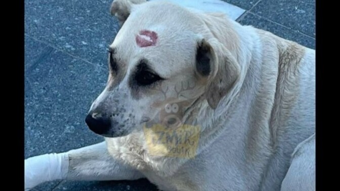 Ayy kim öpmüş bunu çok tatlı?