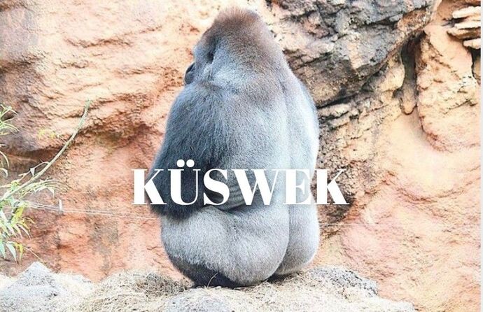 En son yediğiniz şeyi piknik yapıp yeseydik, biz ne yemiş olurduk?