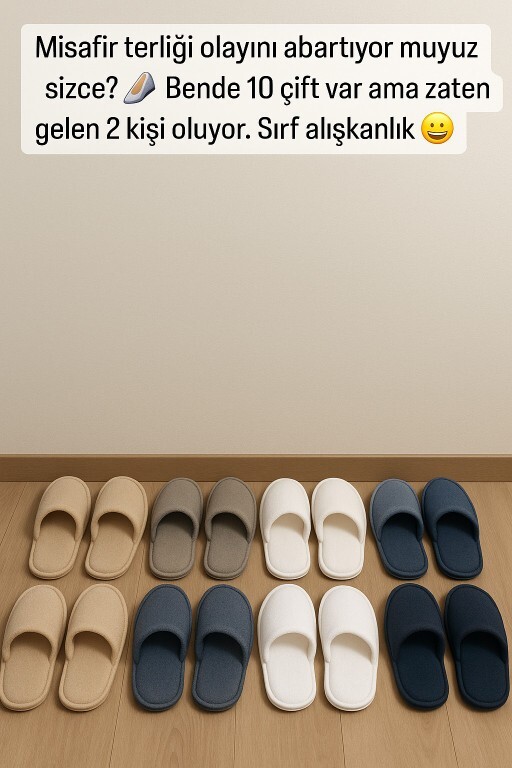 Misafir terliği olayını abartıyor muyuz sizce 🥿?