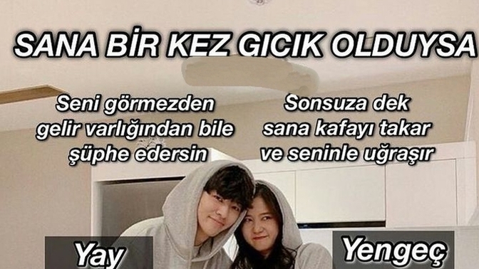 Burcunuza göre, gıcık olduğunuz da kafaya takan mı, görmezden gelen misiniz?