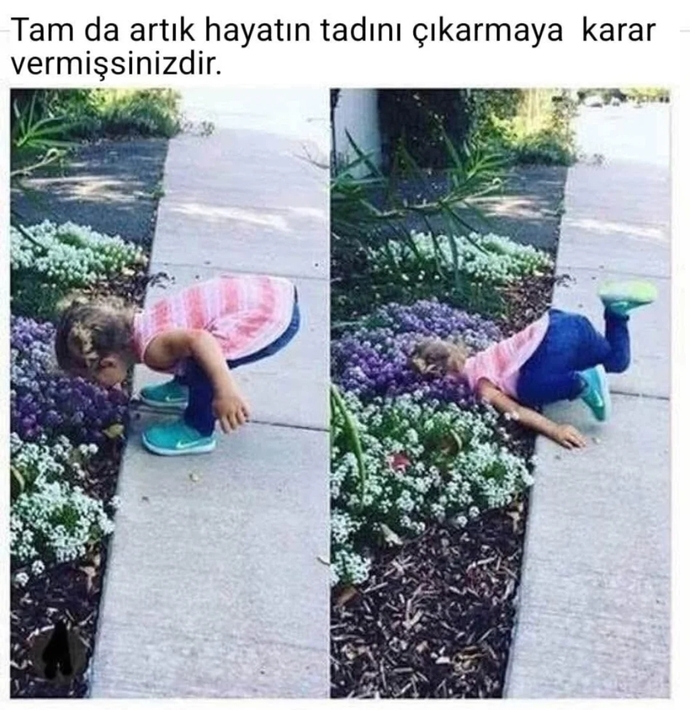 Hayatın tadını çıkara biliyor musunuz? soru olsun diye sorduk günaydın 🤣🤣🤣🤣?