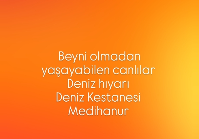 Beyinsiz yaşayabilen canlılar nelerdir?
