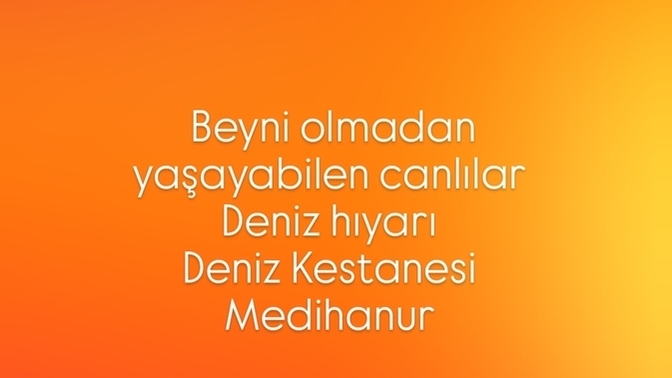 Beyinsiz yaşayabilen canlılar nelerdir?