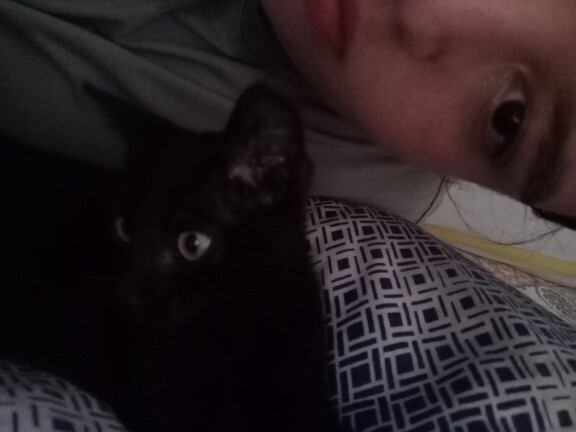 Odama kedi girmiş napcam?