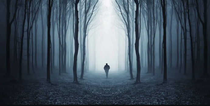 İn cin, paranormal ve gerçek üstü yaratıkların olmadığı gerçekçi bir korku filmi önerir misiniz?