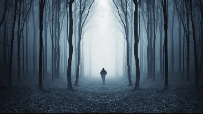 İn cin, paranormal ve gerçek üstü yaratıkların olmadığı gerçekçi bir korku filmi önerir misiniz?