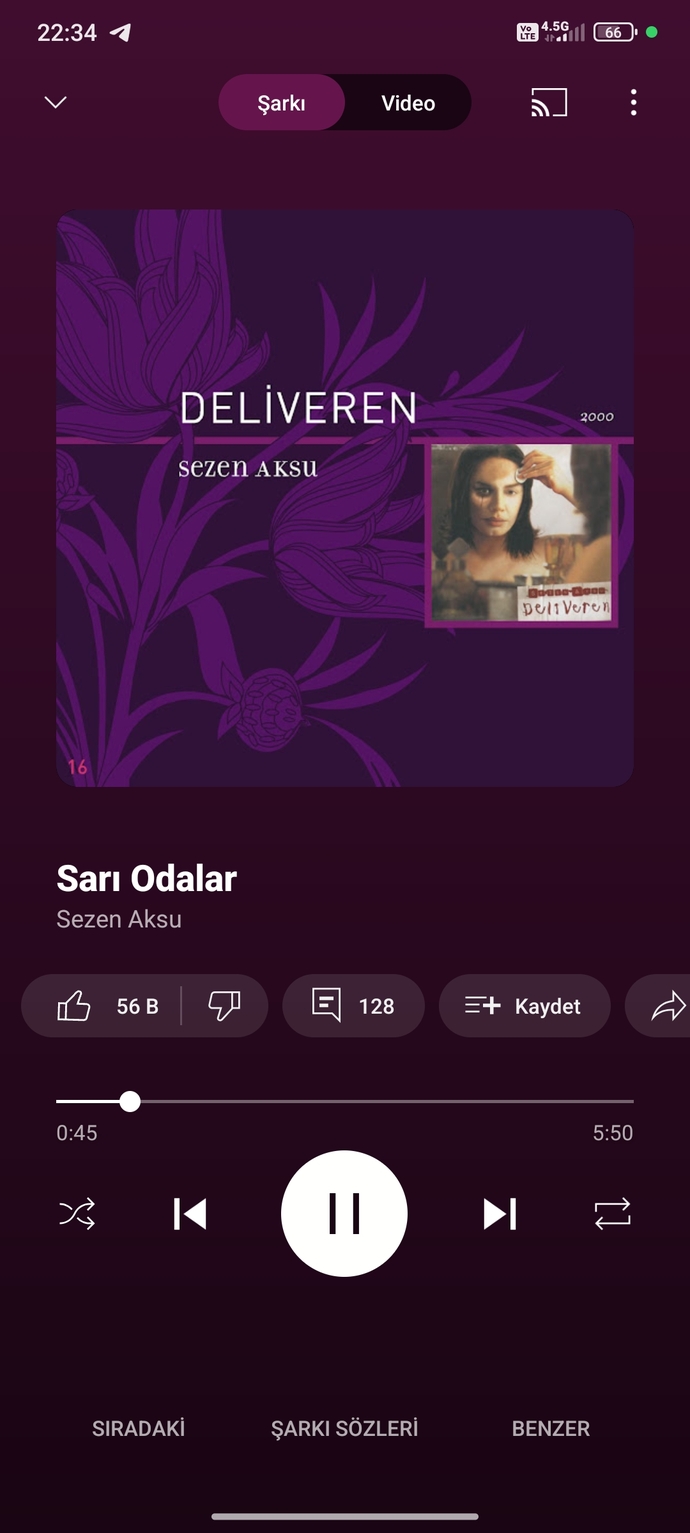 Gecenize hangi şarkı eşlik ediyorr?