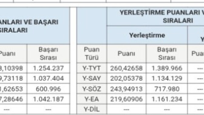 Benim puanım, hangisi oluyor? Üniversite de sayılan puanım Soldaki mi sağda ki mi?