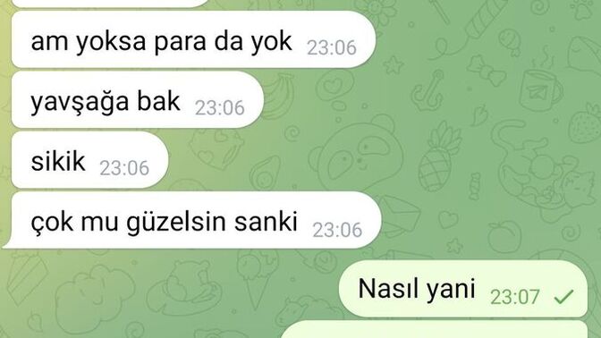 Bu erkekler neyin kafasını yaşıyor kendisine hayır sadece gezmeyi seviyorum dedim ne yazmış engelledim tabi?