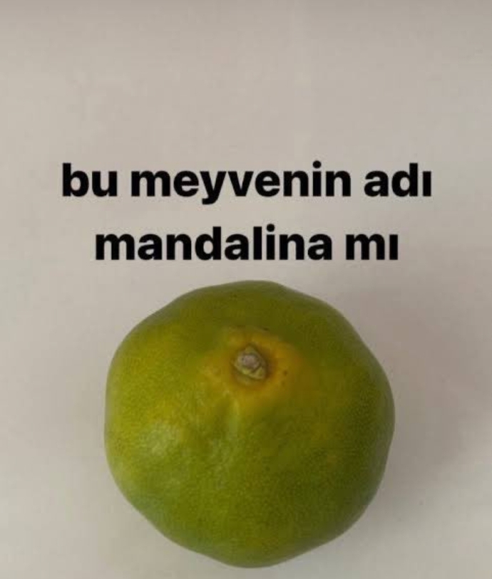 Bizim oğlannan aramız bozuk yazsın diye böyle story attım sizce adım gelir mi?🤭🤭🤭?