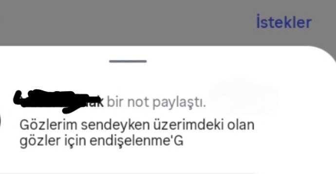 İnce mesajları çalabiliyor musunuz?