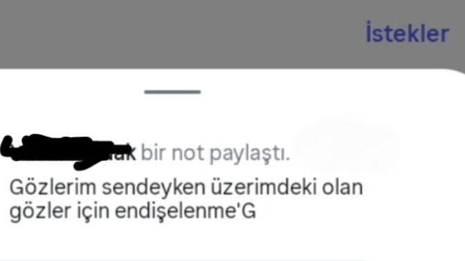 İnce mesajları çalabiliyor musunuz?