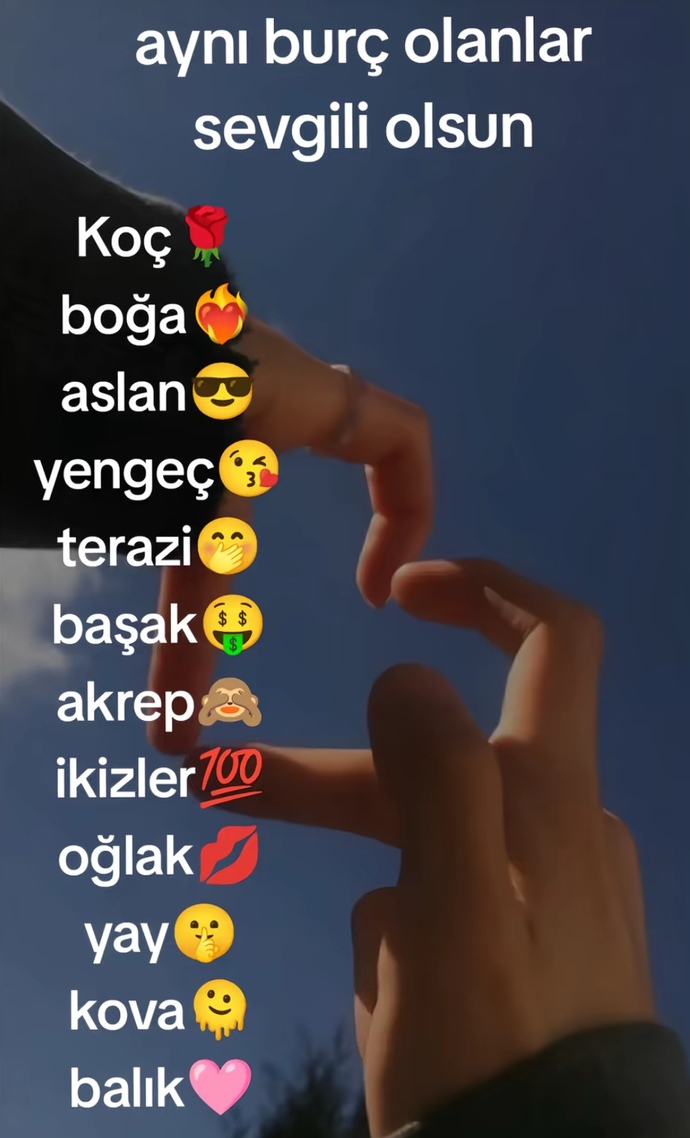 En sevilesi burç hangisi sence?