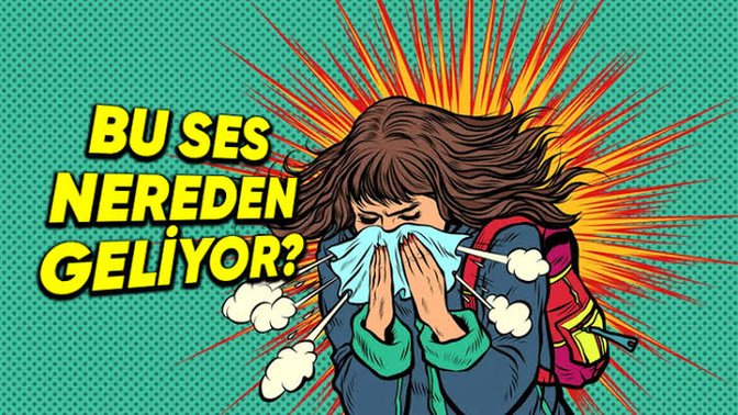 Hapşırığınız kedi sesi gibi mi yoksa yeri göğü inleten cinsten mi?