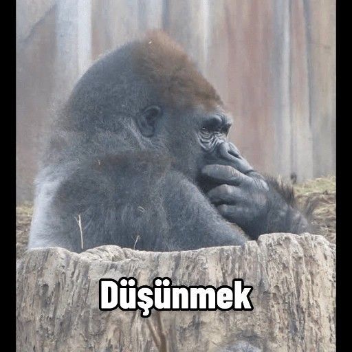 Sevgilinizle olan anılarınızı, ayrıldıktan sonra hemen silip atabilirmisiniz?