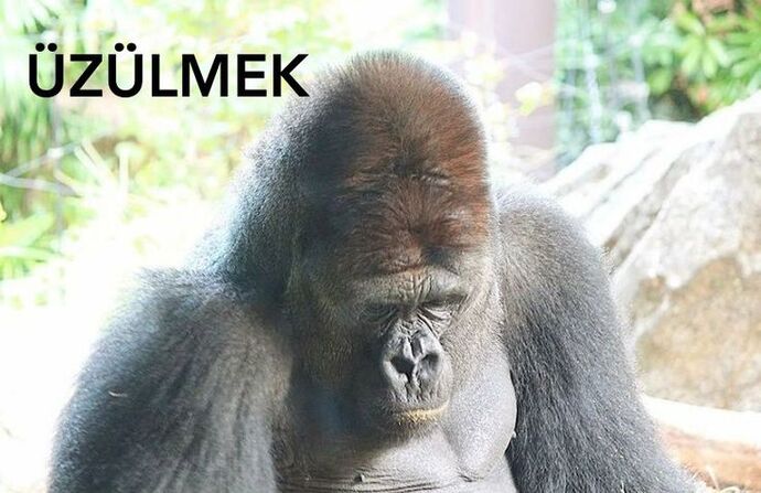 Kadınlar aşık olduğunda gerçekleri neden göremiyor?