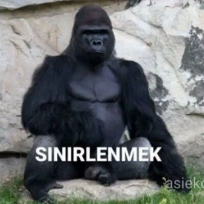 Kadınlar aşık olduğunda gerçekleri neden göremiyor?