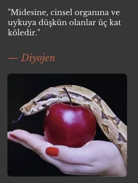 Diyojene göre ne kadar kölesiniz?