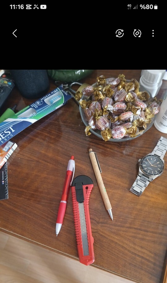 Sizce neden ev arkadaşım bunu oraya koymuş?