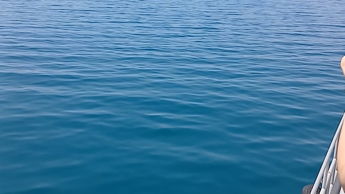 Van Gölüne gitmeyenler/ gidenler var mi aramızda?