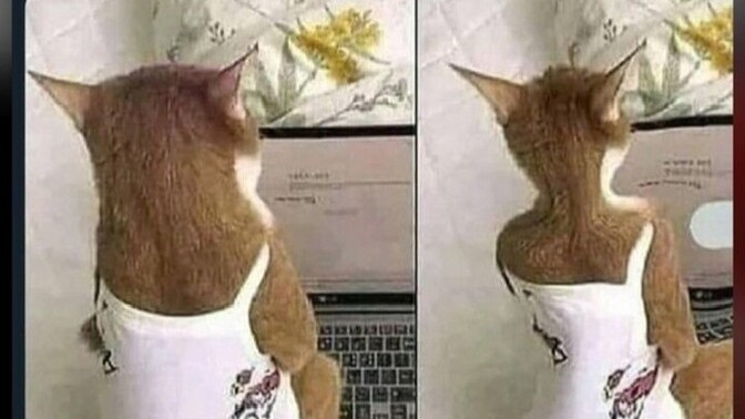 Filtreli fotoğraf paylaşan kişiyle ilişki yaşar mısınız?