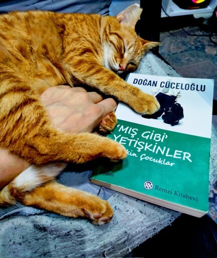 Bu yıl okuduğunuz kitaplar arasında en çok hoşunuza giden hangisi oldu?