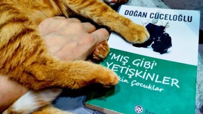 Bu yıl okuduğunuz kitaplar arasında en çok hoşunuza giden hangisi oldu?