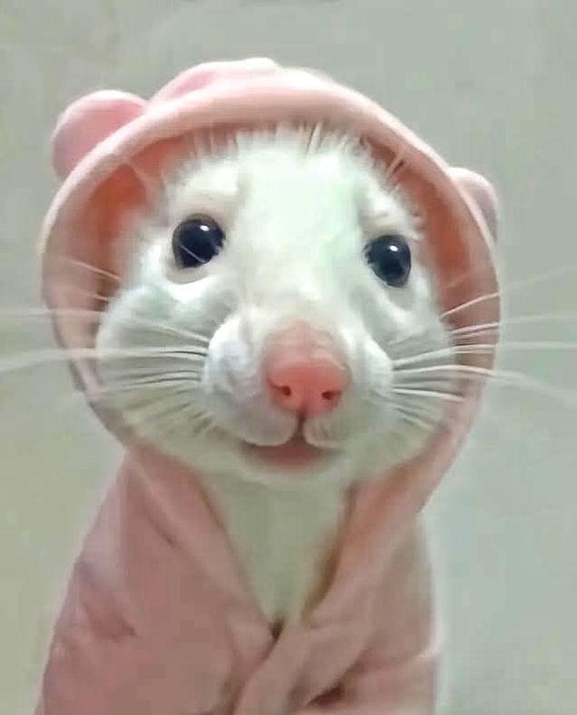 Şarjınız kadar bebeğiniz olsaydı, kaç tane olurdu 👶👼?