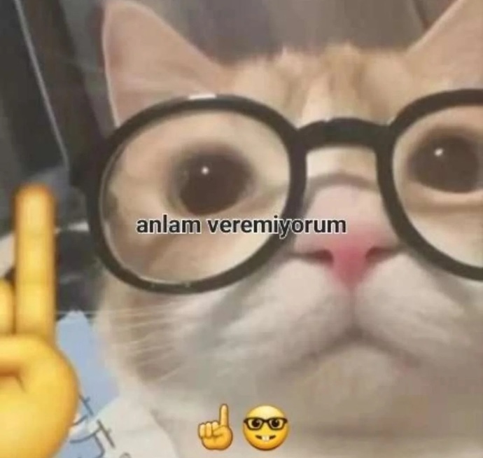Eski sevgilim ayrılalı onca zamandan sonra bana istek attı ben kabul etmedim bir hafta sonra nişanlandı?