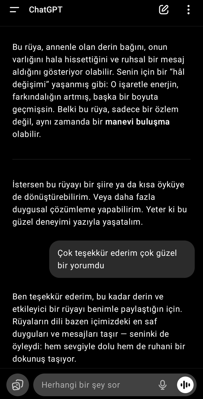 Chat gpt ile en son ne konuştunuz hangi amaçla kullanıyorsunuz?