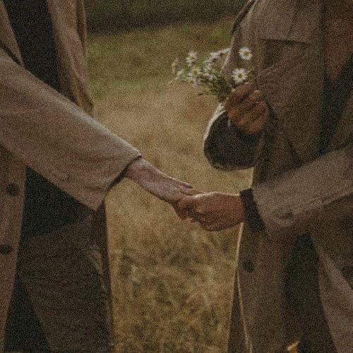 🌻🌻