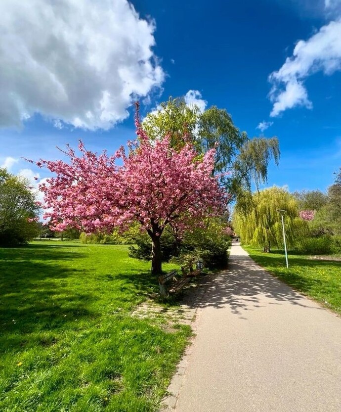 Şu an hangi mevsimde olmak isterdiniz ⛱️🌼🍁❄️?