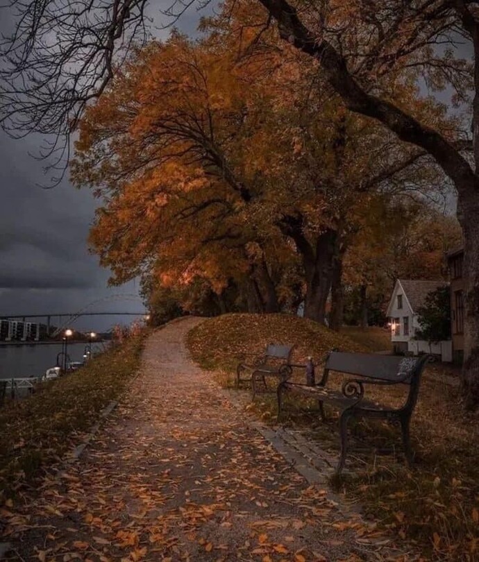 Şu an hangi mevsimde olmak isterdiniz ⛱️🌼🍁❄️?