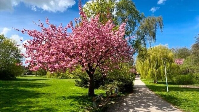 Şu an hangi mevsimde olmak isterdiniz ⛱️🌼🍁❄️?