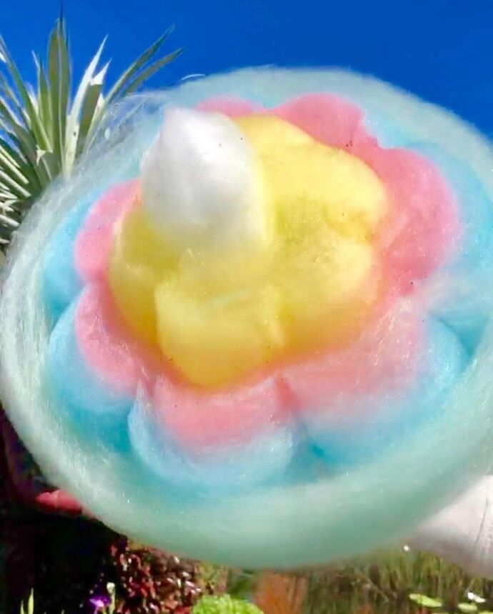 Size hangi pamuk şekeri ısmarlardım söyliyimmi 🍭🍬?