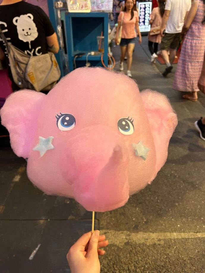 Size hangi pamuk şekeri ısmarlardım söyliyimmi 🍭🍬?
