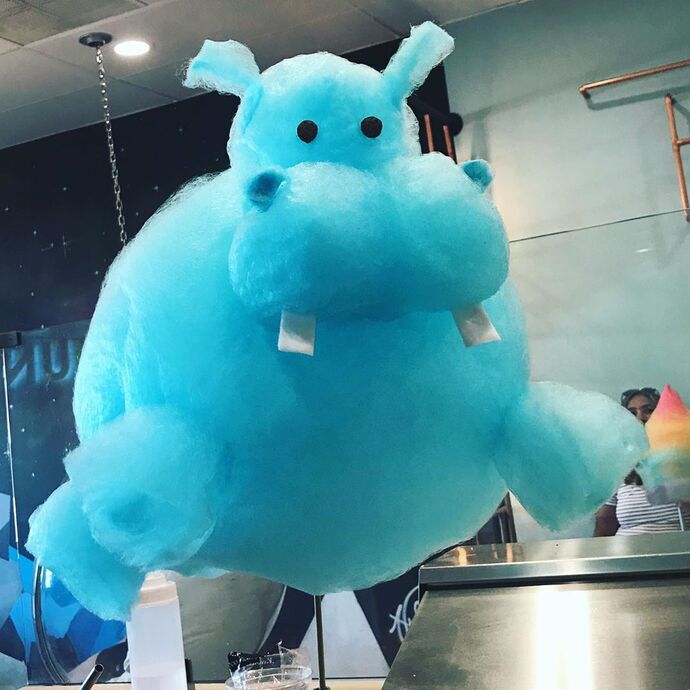Size hangi pamuk şekeri ısmarlardım söyliyimmi 🍭🍬?