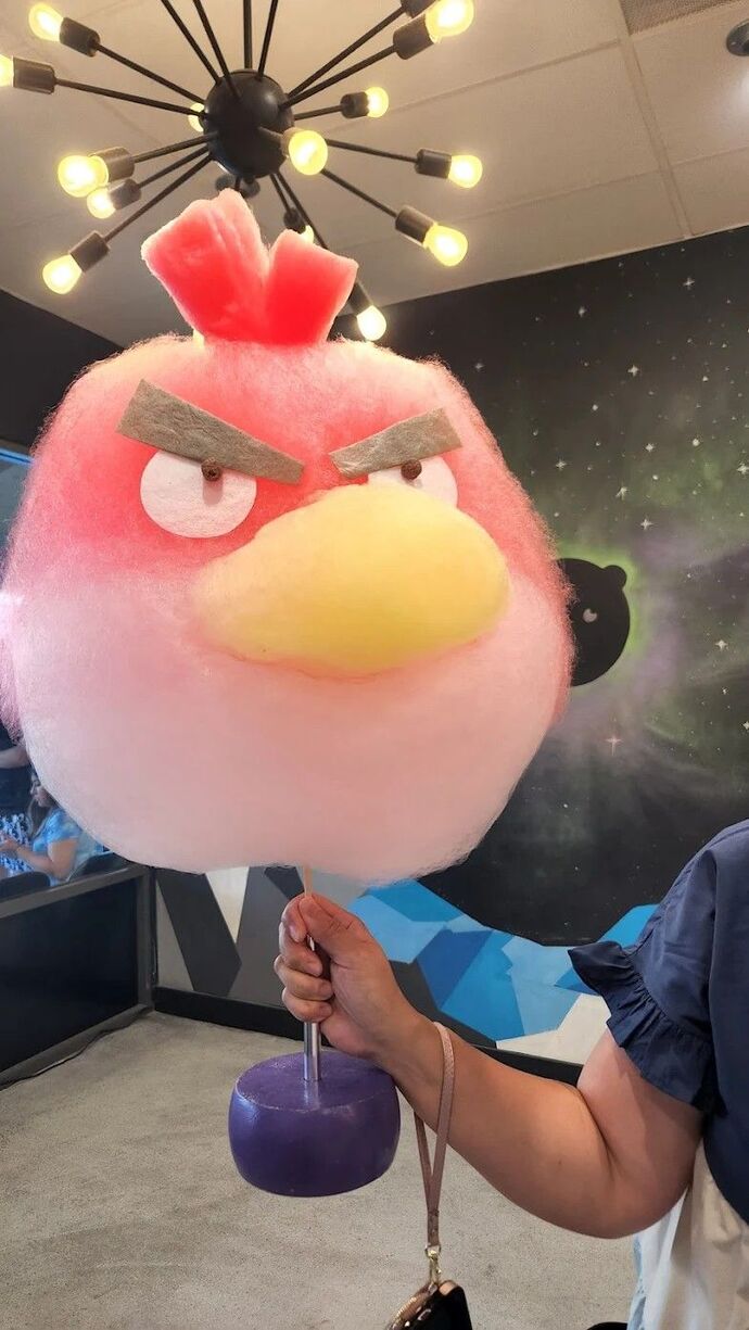 Size hangi pamuk şekeri ısmarlardım söyliyimmi 🍭🍬?