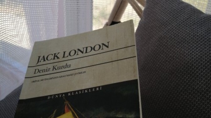Dünya klasiklerinden en sevdiğiniz kitap hangisi?