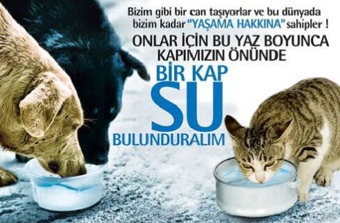 Hadi bugün güzel şeyler yapalım?