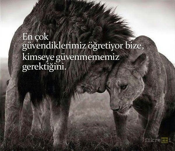 Güvendiğiniz biri var mı hayatınızda?