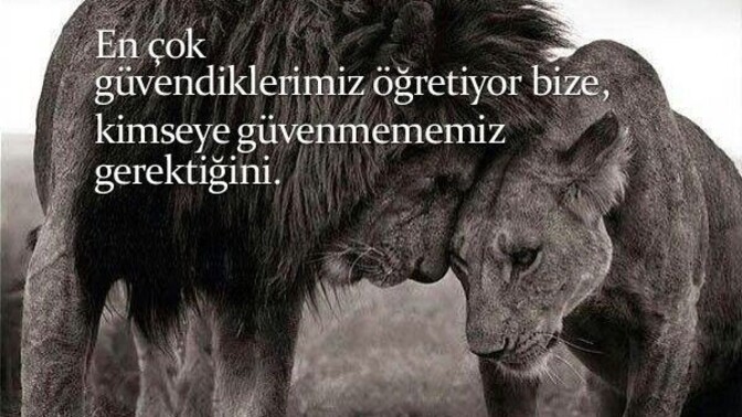Güvendiğiniz biri var mı hayatınızda?