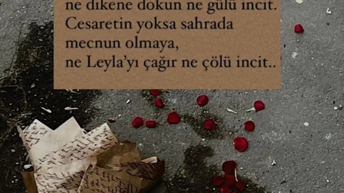 Bir insan neden evlenmek istemiyorsa veya parası yoksa sevgili olur ki?